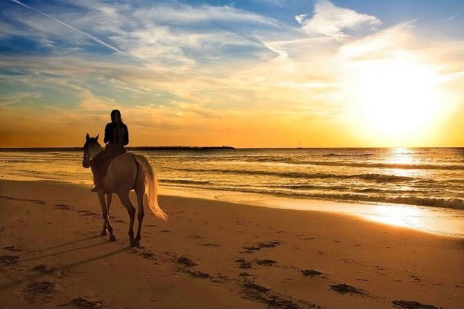 Horseback riding